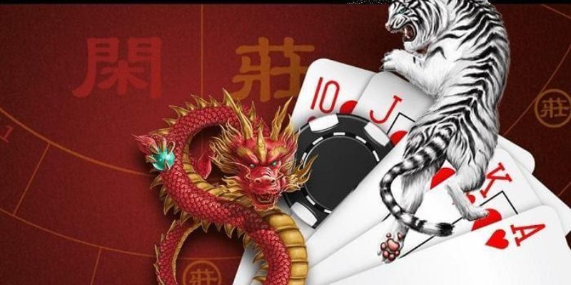 Mẹo chơi rồng hổ cách thức